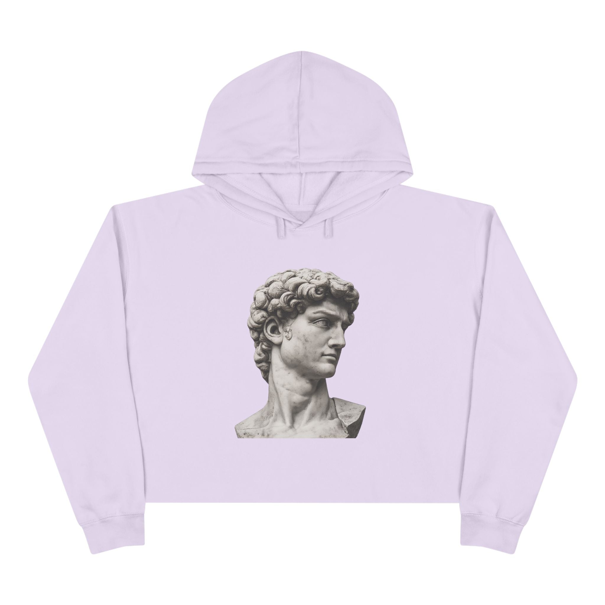 Cropped Hoodie with Michelangelo David Bust Print — Minimalist Artwear - Sculpted Heritage