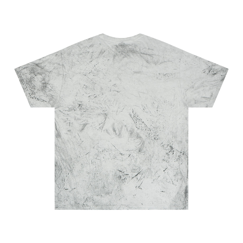 Sculpted Heritage T-Shirt - Sculpted Heritage